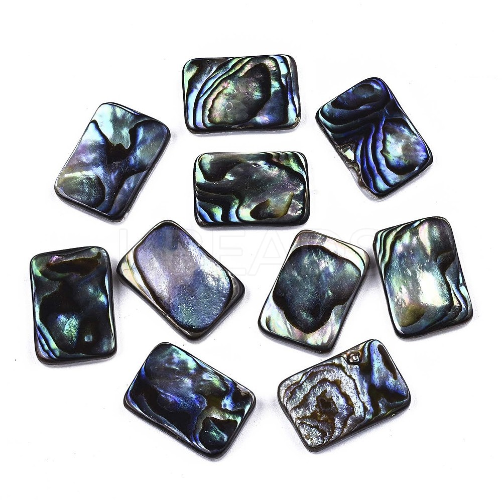 Wholesale Natural Abalone Shell Paua Shell Cabochons Kbeads