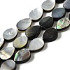 Natural Black Lip Shell Beads Strands BSHE-D300-04B-1