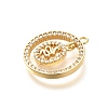 Brass Micro Pave Cubic Zirconia Pendants KK-G519-05G-02-2