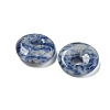 Natural Blue Spot Jasper Donut/Pi Disc Charms G-G142-02E-2