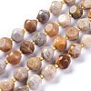 Natural Fossil Coral Beads Strands G-A030-B02-10mm-1