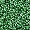 Glass Seed Beads SEED-L011-04A-01-3
