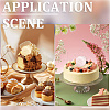 21Pcs 3 Colors Birthday Theme Mirror Effect Acrylic Birthday Cupcake Insert Card Decoration AJEW-SP0001-74-4