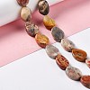 Natural Crazy Lace Agate Beads Strands G-M208-14-2