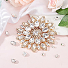 Glass Rhinestone with Iron Appliques DIY-WH0430-395G-4