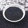 MIYUKI Round Rocailles Beads SEED-X0056-RR0171-2
