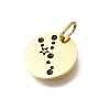 Twelve Constellations 304 Stainless Steel Enamel Pendants STAS-A148-01G-04-2