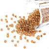 12/0 Glass Seed Beads SEED-US0003-2mm-22B-1