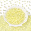 FGB Inside Colours Transparent Glass Seed Beads SEED-T009-01I-1