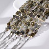 Natural Labradorite Beaded Bracelets for Women G-P563-07P-05-3