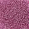 8/0 Glass Seed Beads X1-SEED-A017-3mm-1111-2