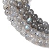 Natural Labradorite Round Bead Strands G-M263-B-03-5