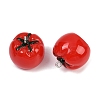 Oapaque Resin Pendants RESI-S025-01P-01-2