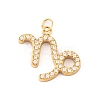 316 Stainless Steel Micro Pave Cubic Zirconia Pendants LS-STAS-K284-01E-G-1