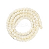 Natural Shell Beads Strands SSHEL-E571-38B-4mm-2