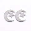 Non-Tarnish 201 Stainless Steel Pendants LS-STAS-E438-60P-1