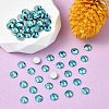 Preciosa® MAXIMA Crystal No Hotfix Flatback Stones Y-PRC-NSS10-60230-200-2