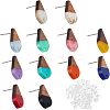 12 Pairs 12 Colors Transparent & Opaque Resin & Walnut Wood Stud Earring RESI-FH0001-42-1