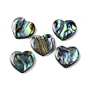 Natural Paua Shell Epoxy Resin Cabochons SSHEL-S279-01D-1