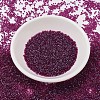 MIYUKI Delica Beads SEED-JP0008-DB1747-2