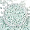 Opaque Colours Luster Glass Seed Beads X1-SEED-P008-01C-04-3