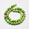 Natural Imperial Jasper Beads Strands G-I122-10mm-01-6