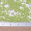 MIYUKI Delica Beads Small SEED-J020-DBS0169-4