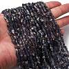 Natural Iolite/Cordierite/Dichroite Beads Strands G-I389-A34-01B-1