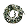 Natural Moss Agate Beads Strands G-A129-2mm-01A-5
