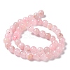 Natural Rose Quartz Dyed Beads Strands X-G-B046-07-6MM-4