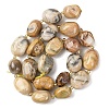 Natural Crazy Agate Beads Strands G-G453-D03-01-3