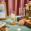 2Pcs Glass Cloche Dome Covers AJEW-BC0008-81-4