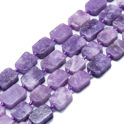 Natural Lepidolite/Purple Mica Stone Beads Strands G-K245-J05-01-1