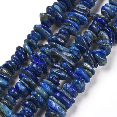 Natural Lapis Lazuli Stone Bead Strands G-R192-13-1