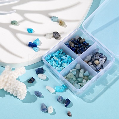 60G 4 Style Natural & Synthetic Gemstone Chip Beads G-FS0001-40-1