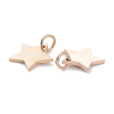 (Defective Closeout Sale: Scratches)304 Stainless Steel Charms LS-STAS-XCP0001-35-1