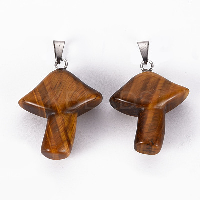 Natural Tiger Eye Pendants G-R480-02F-1