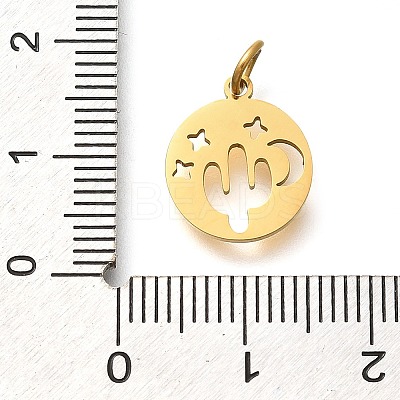 304 Stainless Steel Charms STAS-Z119-07G-1