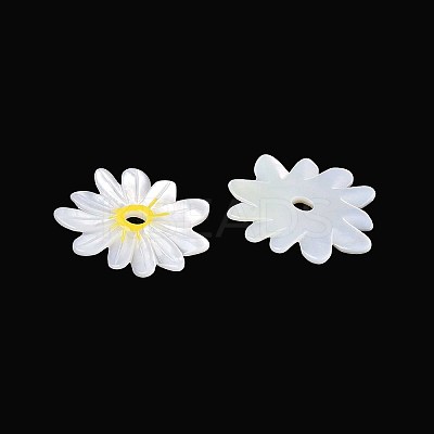 Natural White Shell Pendants SHEL-T020-66-1