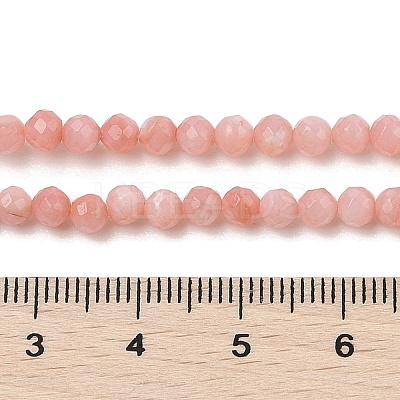 Natural Freshwater Shell Dyed Beads Strands SHEL-R100-12A-03-1