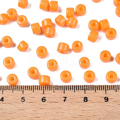 Opaque Baking Paint Glass Seed Beads SEED-T008-02F-1