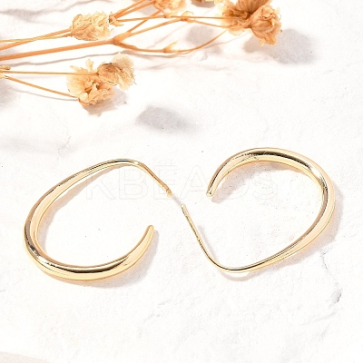 Brass Dangle Earrings LS-KK-T056-110G-NF-1