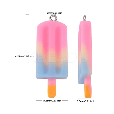 Rainbow Resin Pendants X-CRES-S359-30D-1