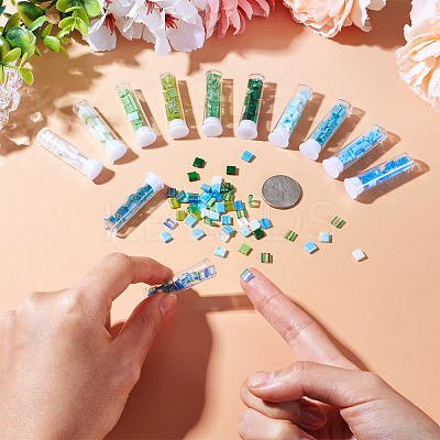 204~240Pcs 12 Colors 2-Hole Glass Seed Beads SEED-TA0001-19-1