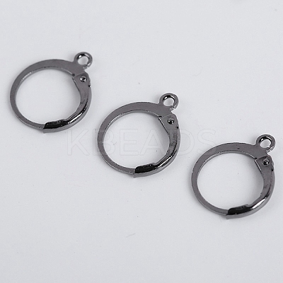1000Pcs Iron Leverback Earring Findings IFIN-WH0065-30B-1