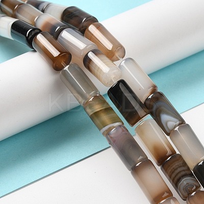 Natural Agate Beads Strands G-H295-E01-04-1