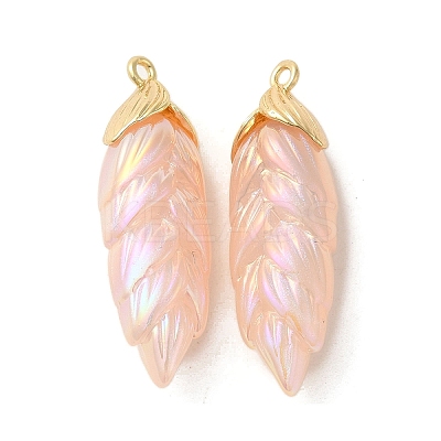 Rainbow Iridescent Plating Resin Pendants LS-RESI-C047-03A-G-1