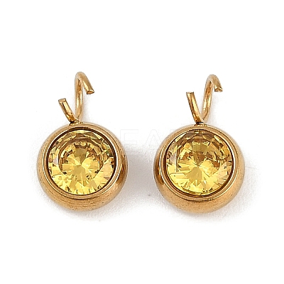 Ion Plating(IP) 304 Stainless Steel Micro Pave Cubic Zirconia Charms STAS-Z094-02G-11-1
