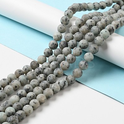 Natural Sesame Jasper/Kiwi Jasper Beads Strands G-I258-02-1