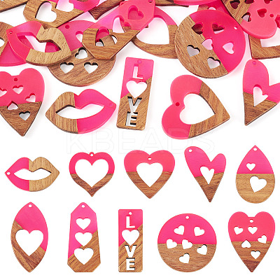 20Pcs 10 Styles Resin and Walnut Pendants WOOD-TA0002-73B-1